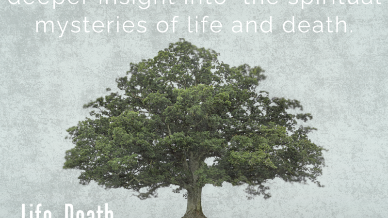 Dr. Kawa Amin explores “Life, Death, and Eternity” in new book